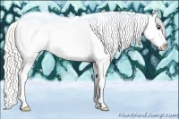 Horse Color:White Spotted Silver Smoky Black Appaloosa 