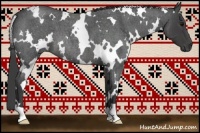 Horse Color:White Spotted Smoky Blue Roan