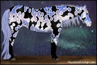 Horse Color:Watercolor Chocolate Palomino Onyx Appaloosa