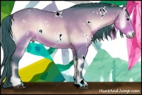 Horse Color:Watercolor White Spotted Buckskin Onyx 