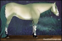 Horse Color:Watercolor Buckskin Onyx Sabino 