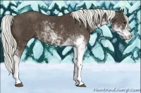 Horse Color:Liver Chestnut Sabino