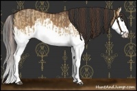 Horse Color:Red Dun Splash  and Bay Dun Splash 