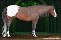 Horse Color:Bay Sabino Splash Snowcap 