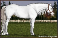 Horse Color:Liver Chestnut Sabino Blanket 