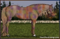 Horse Color:Nacre Chestnut 