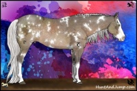 Horse Color:White Spotted Silver Brown Ice Sabino Splash Rabicano