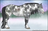 Horse Color:White Spotted Brown Chinchilla Ice Sabino