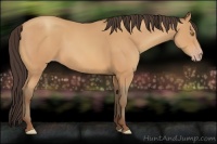 Horse Color:Amber Champagne