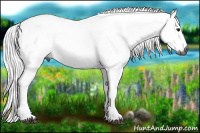 Horse Color:Gray Watercolor Silver Bay 