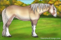 Horse Color:Silver Buckskin Onyx