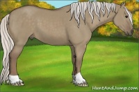 Horse Color:Silver Smoky Grullo 