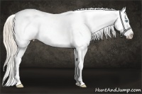 Horse Color:White Spotted Perlino Tobiano Frame Appaloosa Rabicano 