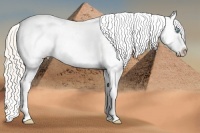 Horse Color:White Spotted Smoky Creme Splash Tobiano Appaloosa