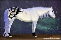 Horse Color:Watercolor Bay Onyx Appaloosa 