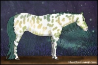 Horse Color:Watercolor Bay Roan Onyx Appaloosa