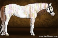 Horse Color:Red Dun Ice Splash Frame