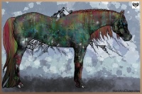 Horse Color:ERROR: UNKNOWN ANOMALY and ERROR: UNKNOWN ANOMALY