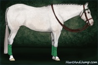 Horse Color:Bay Dun Appaloosa