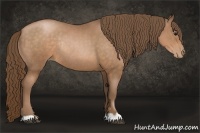 Horse Color:Brown Pearl Rabicano