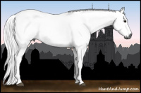 Horse Color:Gray Brown Dun Sabino 