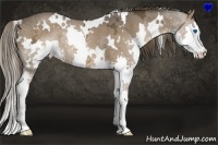 Horse Color:White Spotted Liver Chestnut Ice Splash Rabicano 