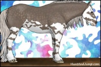 Horse Color:Silver Black Splash