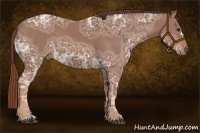 Horse Color:Chestnut Ice 