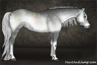 Horse Color:Silver Blue Onyx Chinchilla Sabino
