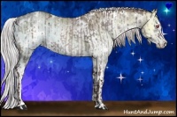 Horse Color:White Spotted Chocolate Silver Black Chinchilla Ice Sabino  and White Spotted Chocolate Silver Blue Onyx Chinchilla Ice Sabino Brindle 
