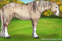 Horse Color:Red Onyx Splash  and Chocolate Palomino Pearl Splash 