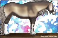 Horse Color:Silver Blue Onyx 