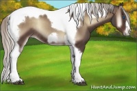 Horse Color:Silver Blue Onyx Tobiano Frame Rabicano 
