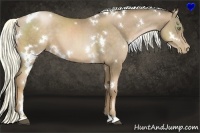 Horse Color:White Spotted Liver Chestnut Pearl 