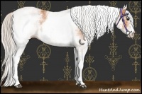 Horse Color:White Spotted Silver Bay 