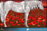 Horse Color:White Spotted Chocolate Silver Black Chinchilla Ice 