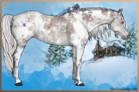 Horse Color:White Spotted Chocolate Silver Black Chinchilla Ice 