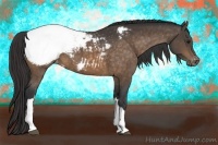 Horse Color:Buckskin Snowcap