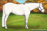 Horse Color:Silver Perlino Dun 