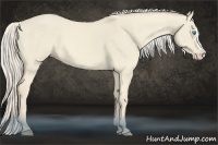 Horse Color:Cremello Dun Splash 