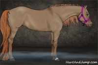 Horse Color:Liver Red Dun 