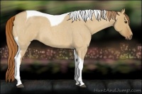 Horse Color:Red Dun Roan Tobiano 