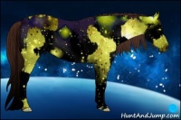 Horse Color:ERROR: UNKNOWN ANOMALY and ERROR: UNKNOWN ANOMALY