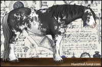 Horse Color:Black Sabino 