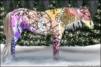 Horse Color:Brown Dun Sabino Splash Appaloosa