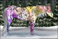 Horse Color:Brown Dun Sabino Splash