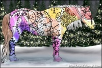 Horse Color:Brown Dun Sabino Splash Appaloosa 