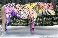 Horse Color:White Spotted Sable Champagne Splash Appaloosa