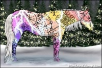 Horse Color:White Spotted Silver Grullo Splash Appaloosa 