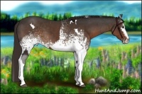 Horse Color:White Spotted Liver Chestnut Sabino  and White Spotted Liver Chestnut 